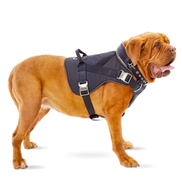 YOULY The Champion Black Big Dog Harness Reflective XXL/XXXL NEW!! - Picture 2 of 5